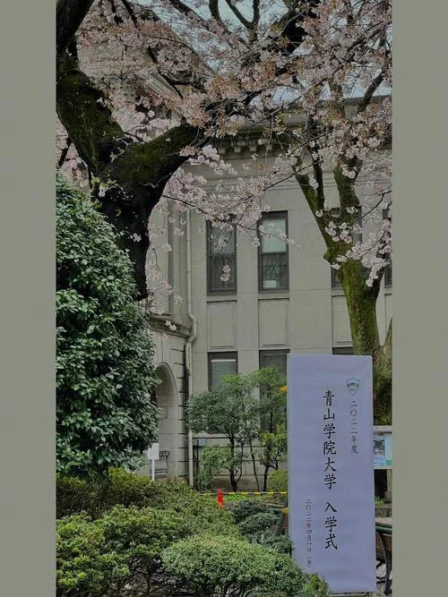 日本青山学院大学排名_1