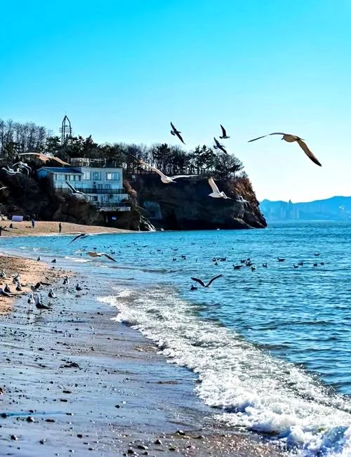 大连海边旅游必去景点_2