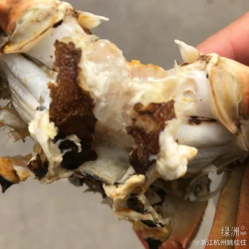 杭州到阳澄湖多少公里_1