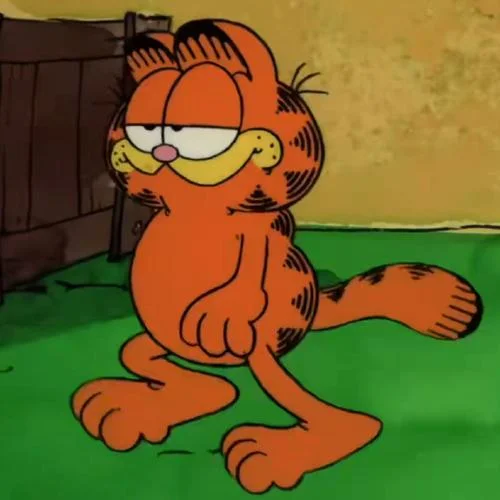 加菲猫的朋友叫什么_2