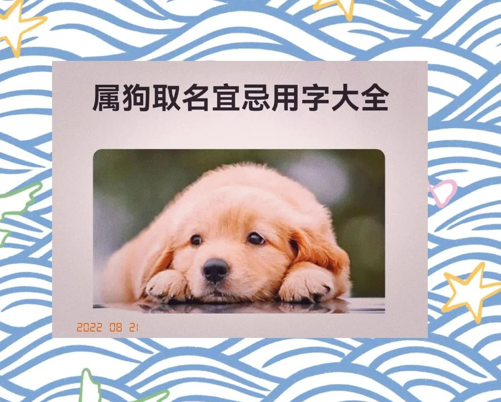 属狗的小名叫什么好_1