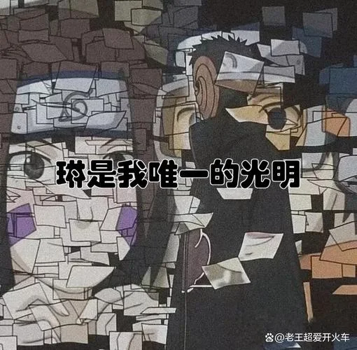 不让她看我是什么意思_2