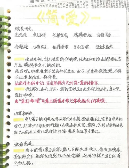 简爱感悟体会400字_1