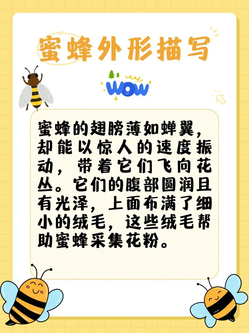 关于蜜蜂的资料说明文-蜜蜂资料说明文