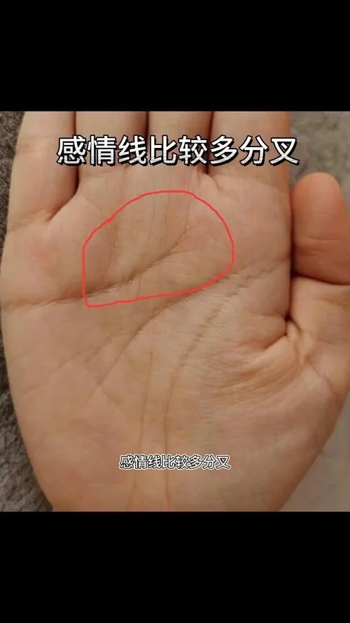 女人手相感情线分析图_1
