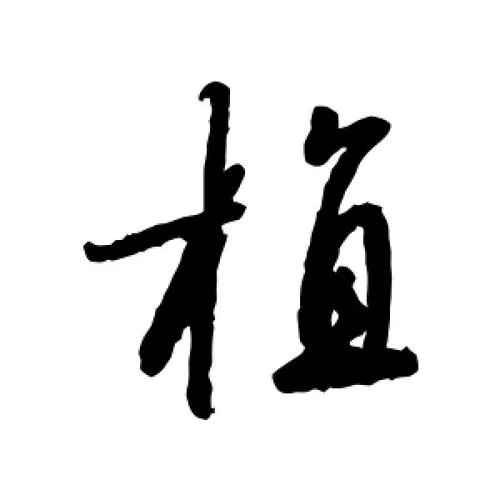 植怎么写_1