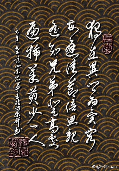 遥知兄弟登高处的作者是谁_1