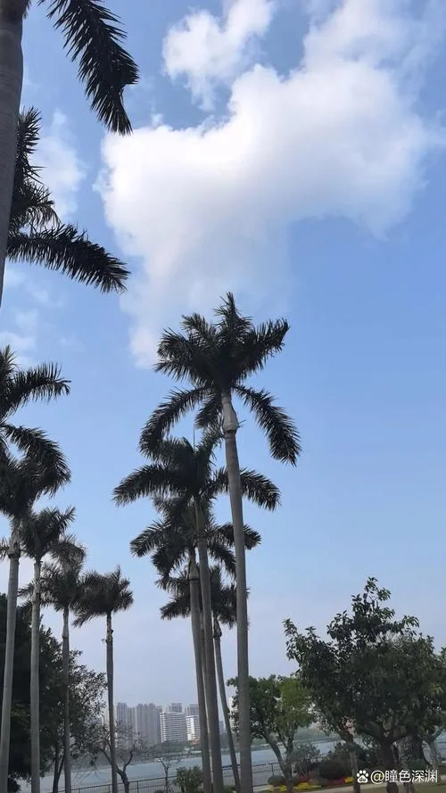 蓝色心情是什么意思_1