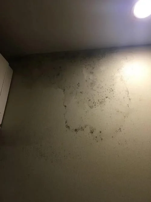 梦见破房子漏雨_1