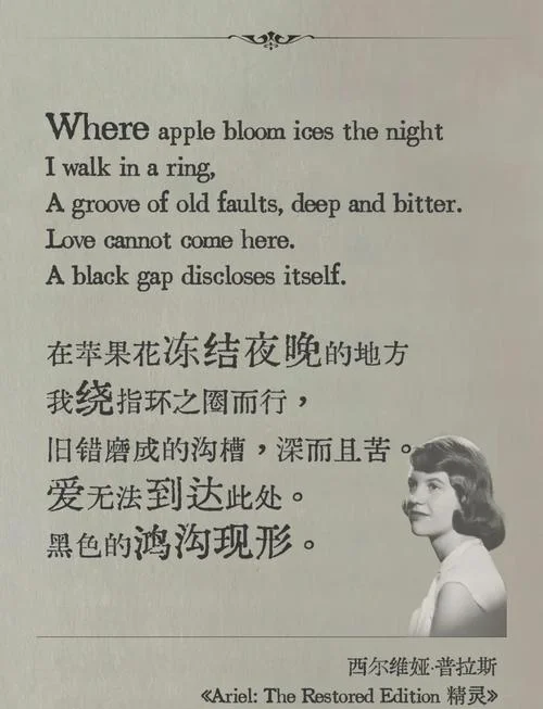 柏林少女文案简短_1