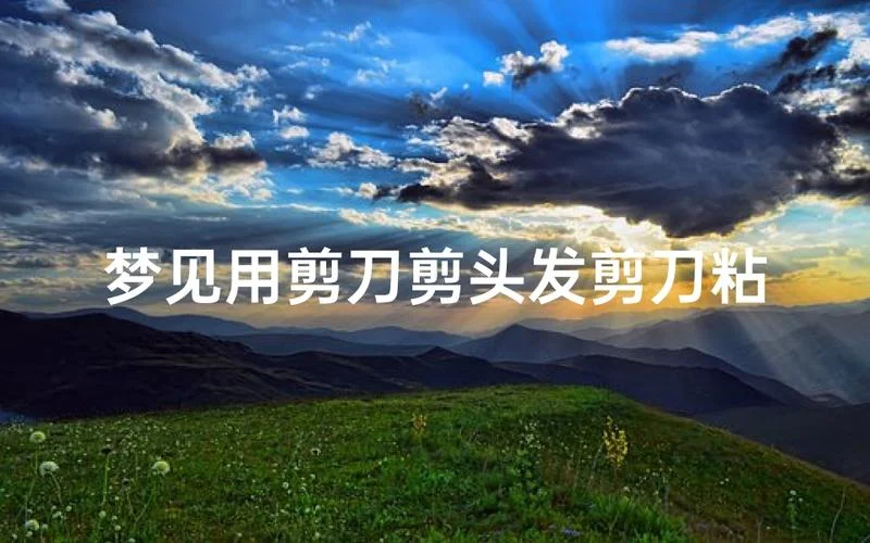 梦见把别人头发剪坏了_1