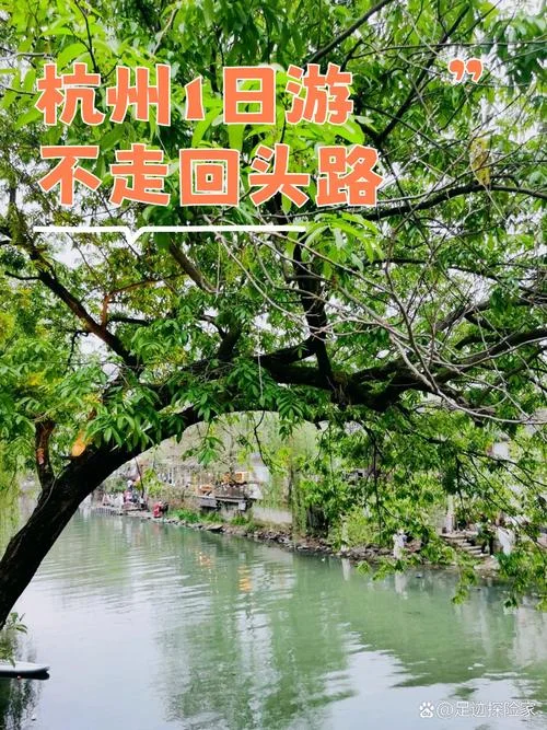 杭州一日游骗局_1