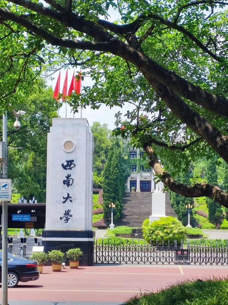 西南大学艺术类2022_2