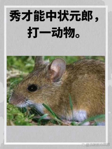 纸老虎出处_1