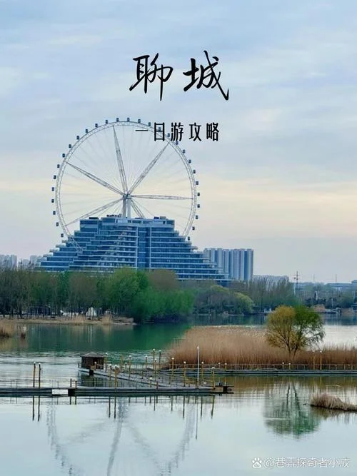 聊城面积多少平方公里_1
