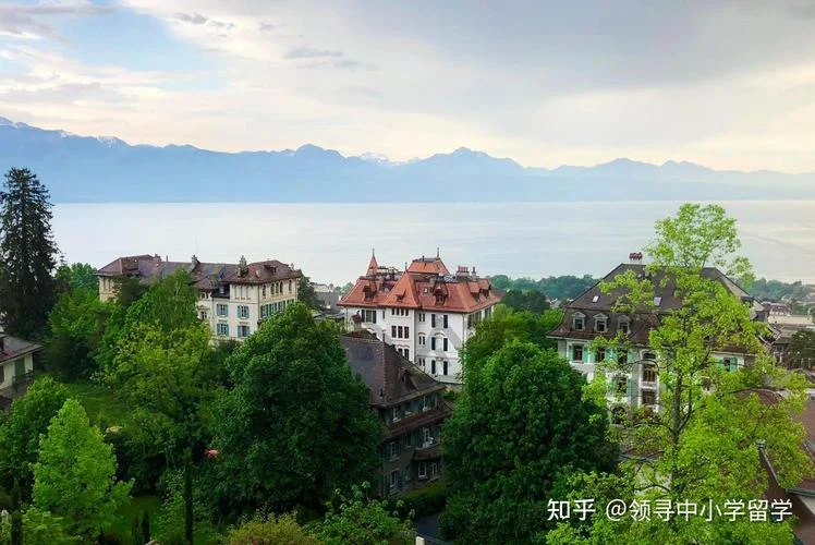 瑞士留学签证加急几天-瑞士留学签证加急需几天