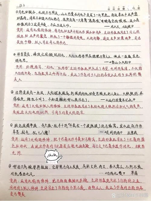 不跪着教书摘抄与感悟_1