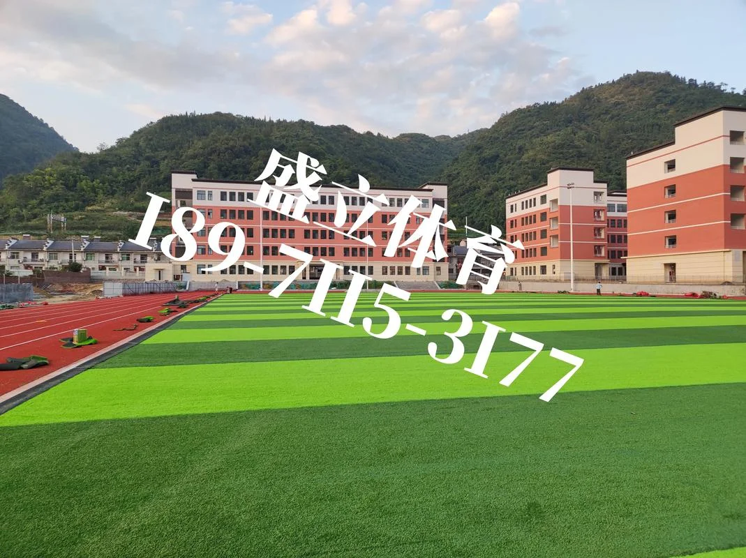 建一个人工足球场价格-人工足球场建设成本