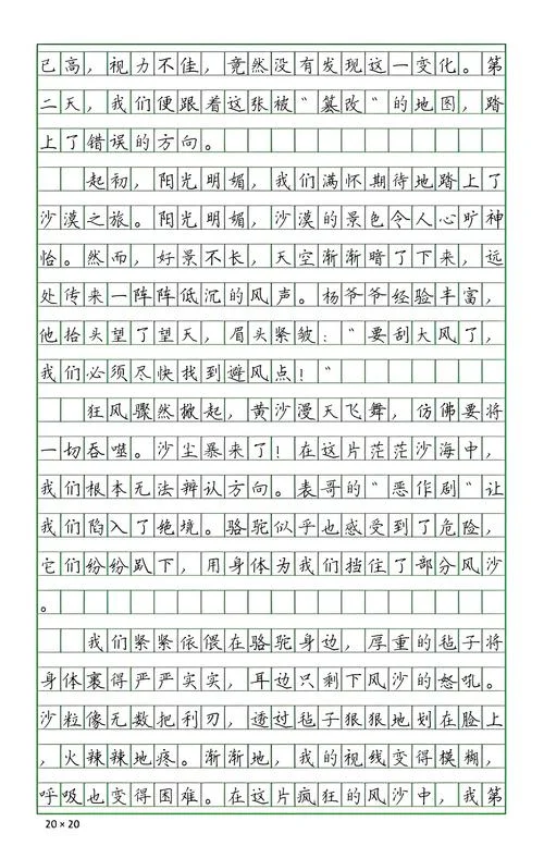 沙尘暴怎么写_1