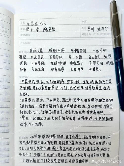 读书笔记250字昆虫记_1