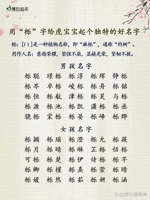 苗姓虎宝宝起名_2