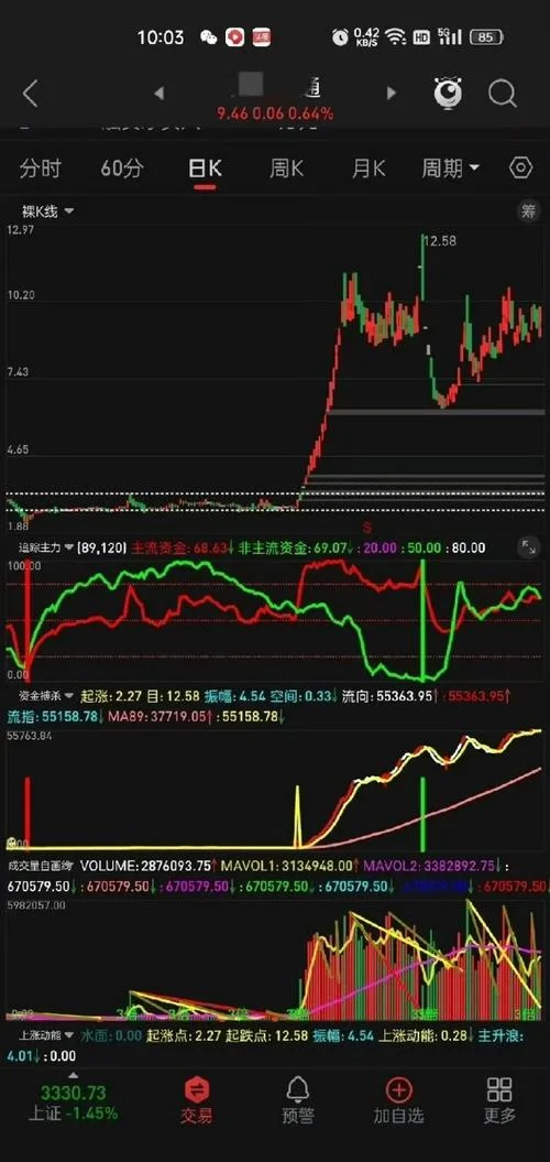 个股历史资金流向-个股历史资金流向