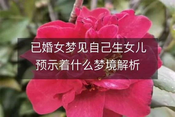 梦见女朋友生了个女儿_2