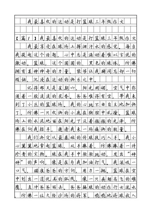 篮球赛总结与感悟800字_1