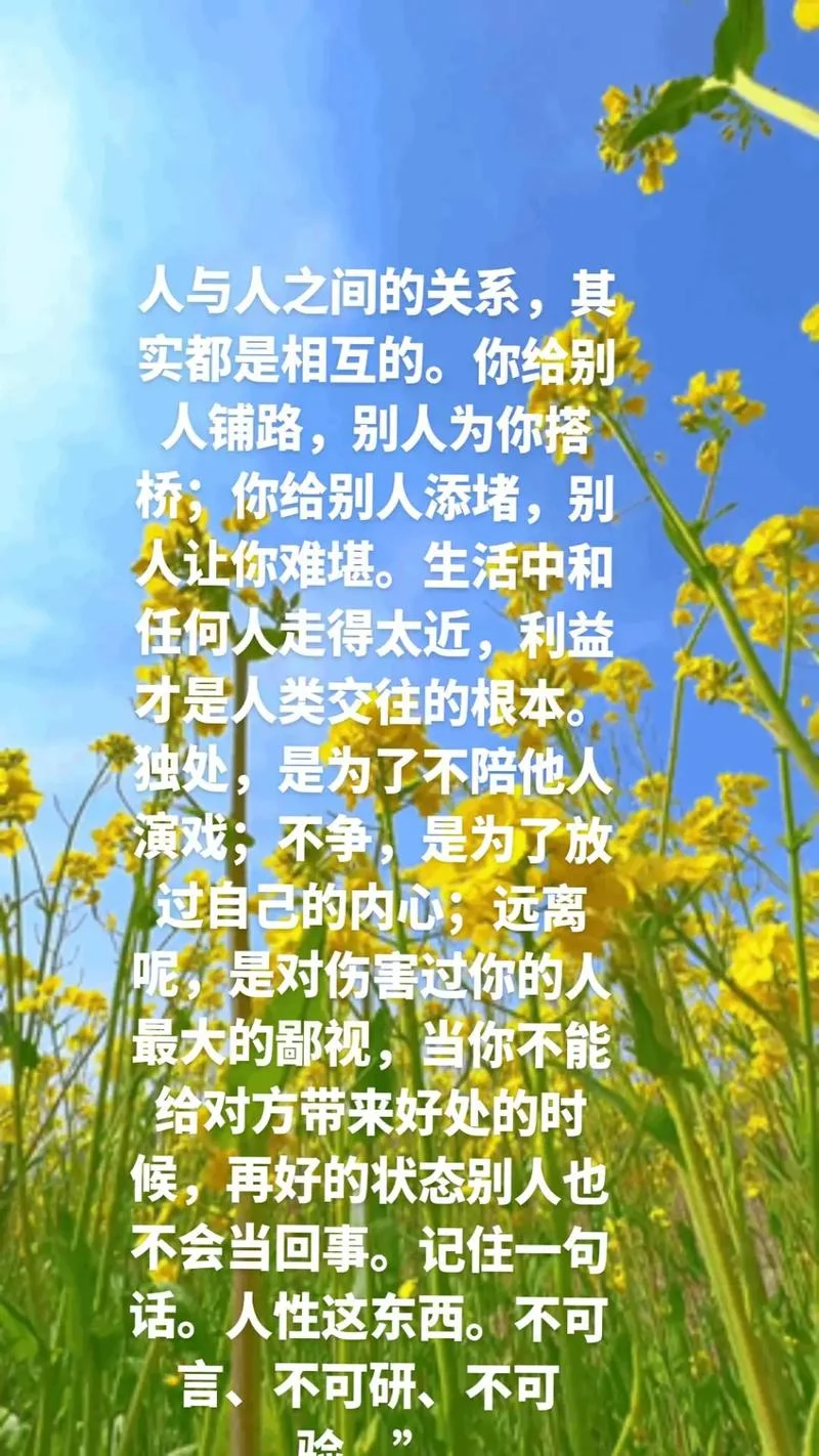 与人相处的感悟_1