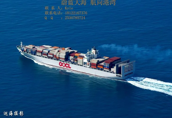 货运代理证成绩查询_2