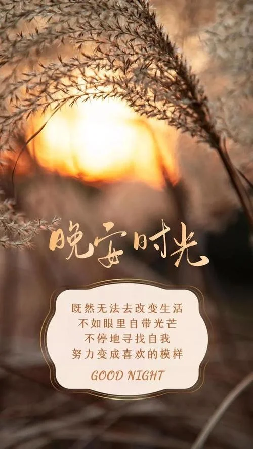 晚安说说简短唯美句子_2