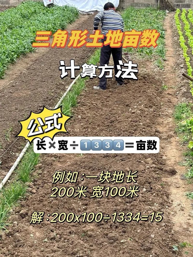 30万平方米等于多少亩_1