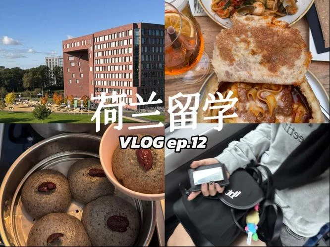 留学vlog合集_2