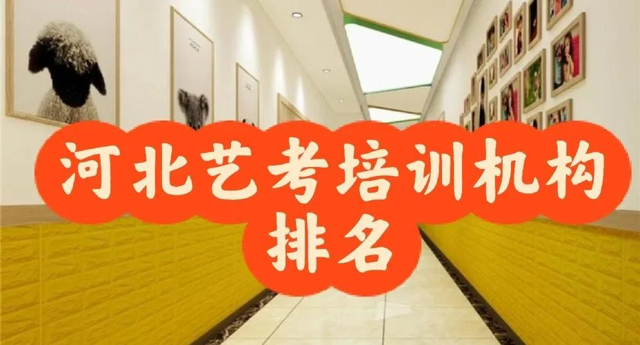 河北传媒学院艺考_2