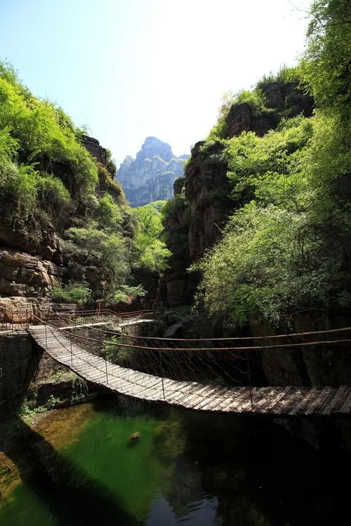 重庆南坪附近的景点_2