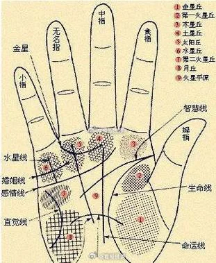如果看出财运好的手相_2