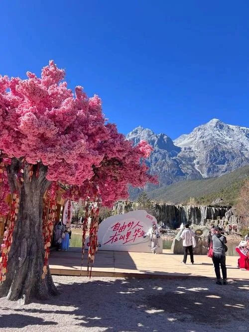 去云南昆明旅游6日游_2
