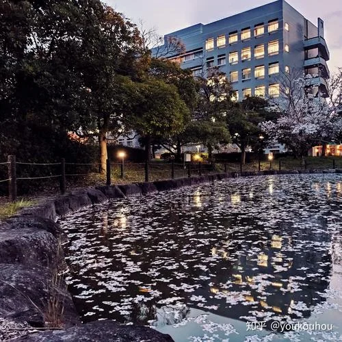 日本奈良先端科技大学院大学_1