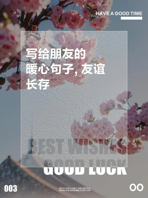 友情感悟的句子正能量_1