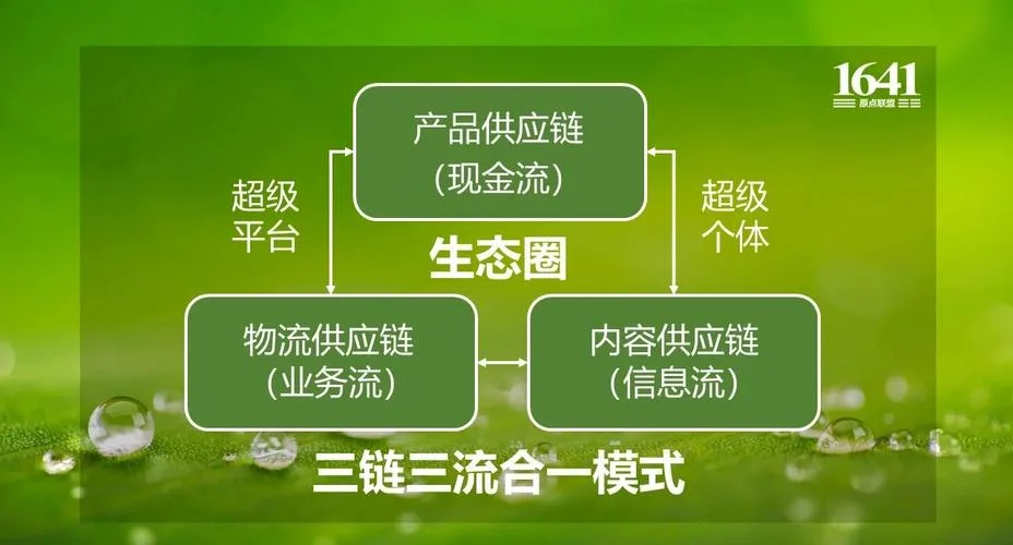 供应链是什么意思_2