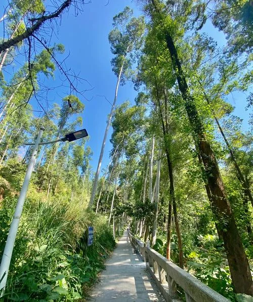 广州白云区旅游景点推荐_2
