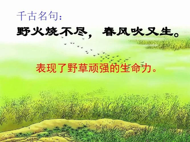 野火烧不尽春风吹又生出自哪一首诗_2