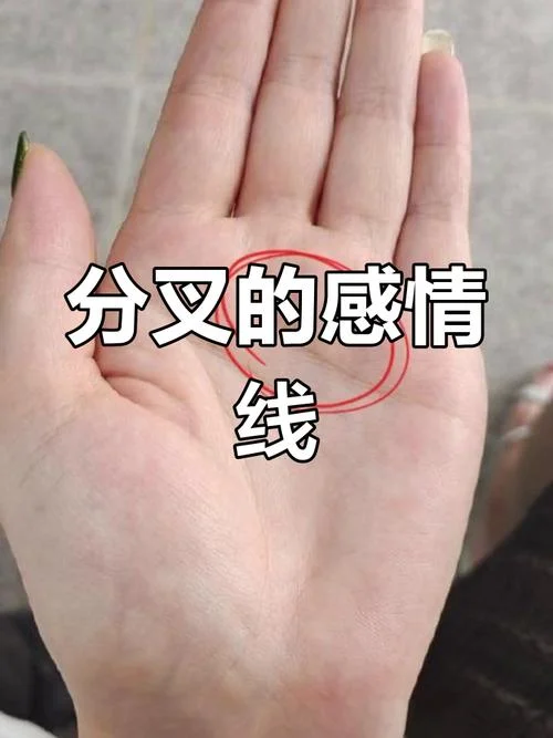 手相婚姻线有分叉_1