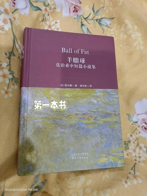 莫泊桑羊脂球读后感_1