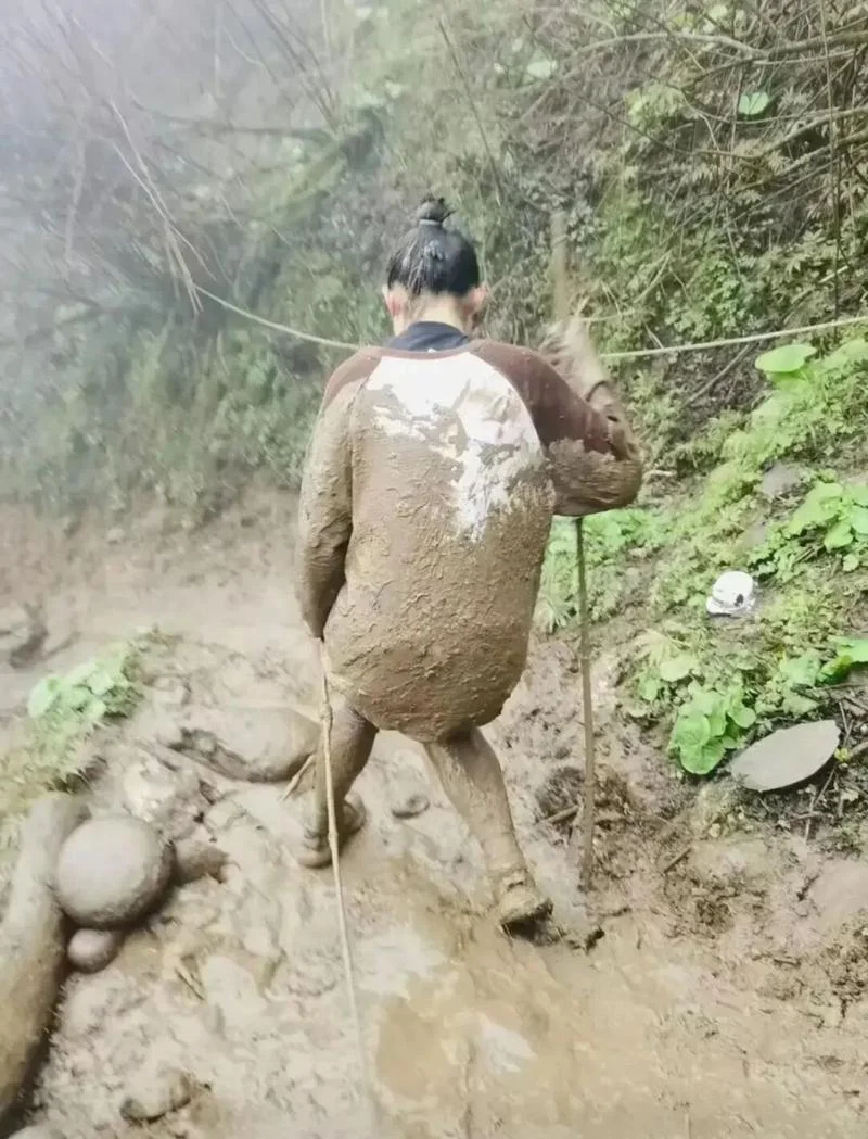 梦见光脚在泥泞的路上走-梦踏泥泞