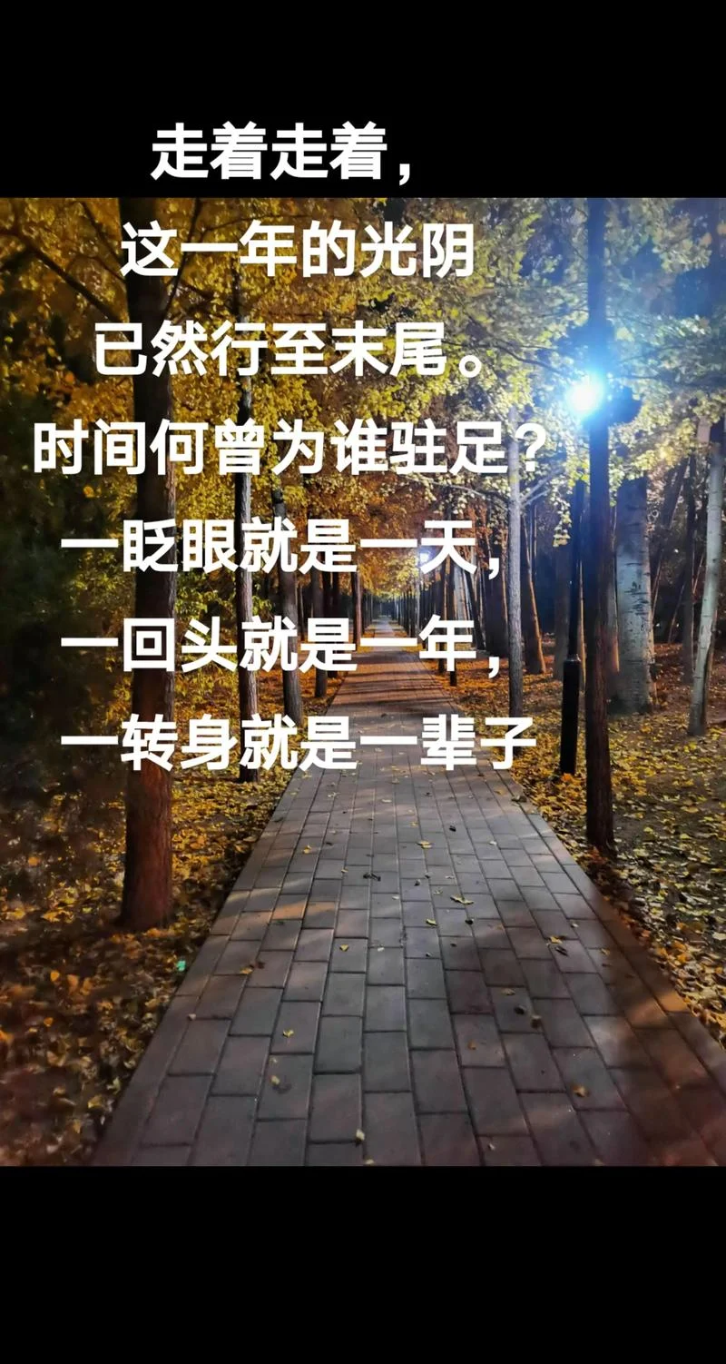 时光易逝下一句是什么_1