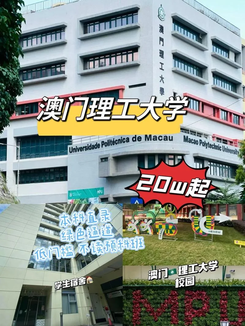 澳门理工大学世界排名_1
