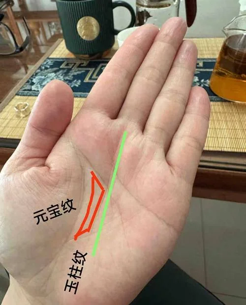 成绩好的手相_2