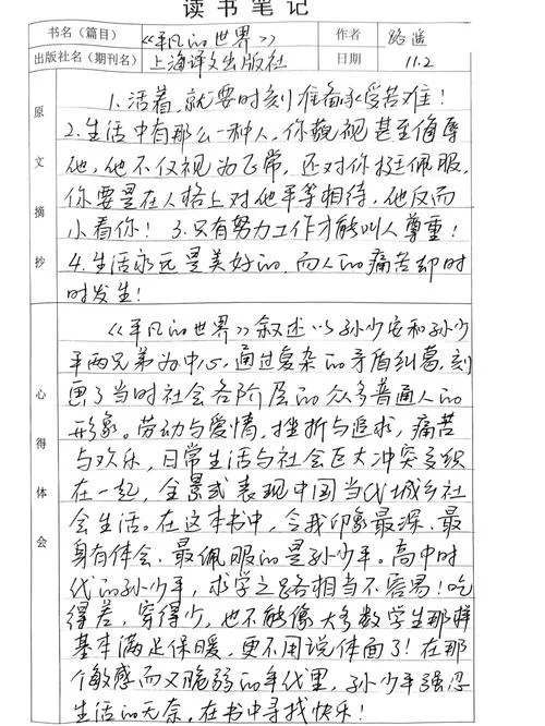 平凡的世界读书笔记摘抄及感悟_2
