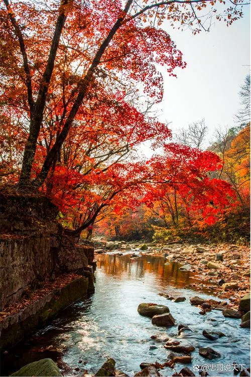 本溪旅游景点大全秋天_2
